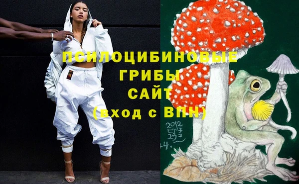 2c-b Лабытнанги