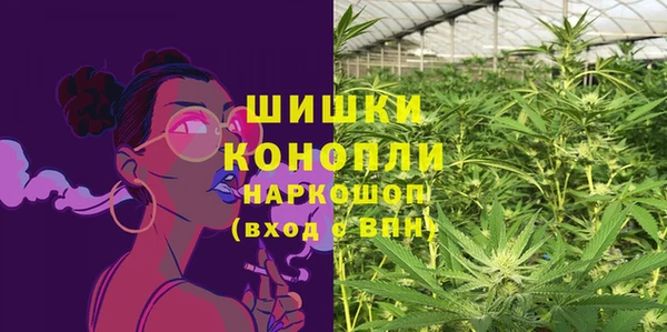 2c-b Лабытнанги