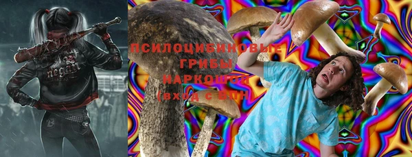 2c-b Лабытнанги