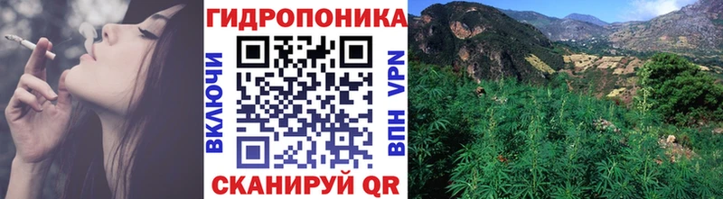 где можно купить   Салават  Бошки марихуана OG Kush 